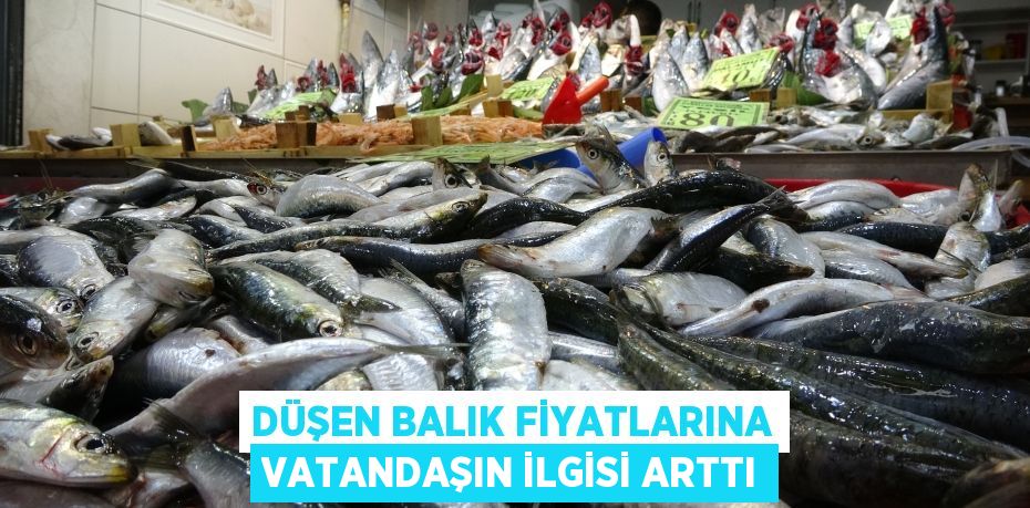 Düşen balık fiyatlarına vatandaşın ilgisi arttı