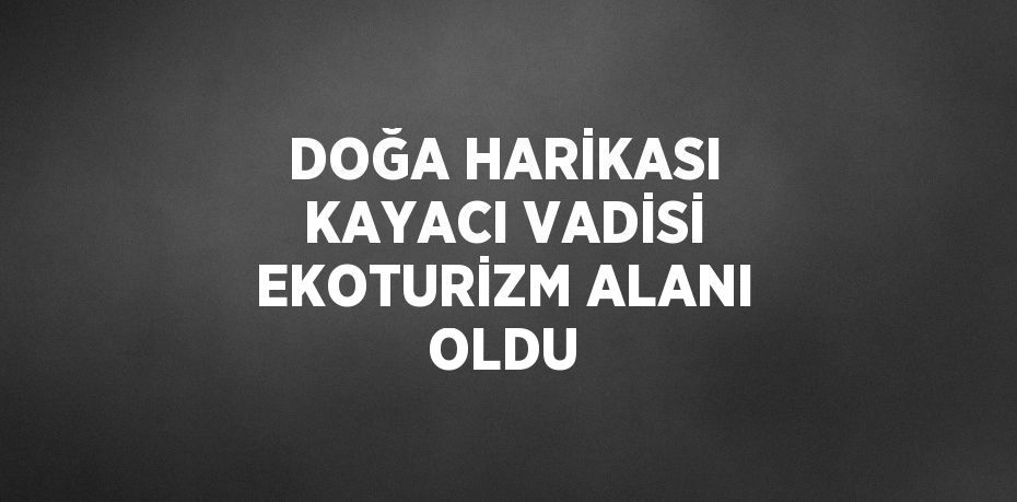 DOĞA HARİKASI KAYACI VADİSİ EKOTURİZM ALANI OLDU