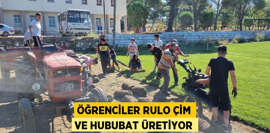 Öğrenciler rulo çim ve hububat üretiyor