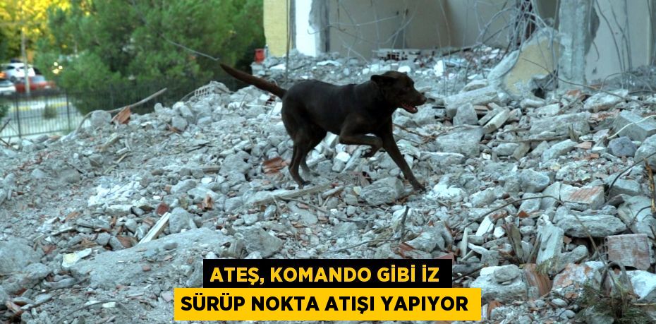 Ateş, komando gibi iz sürüp nokta atışı yapıyor