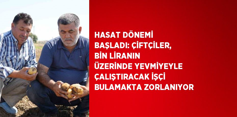 HASAT DÖNEMİ BAŞLADI: ÇİFTÇİLER, BİN LİRANIN ÜZERİNDE YEVMİYEYLE ÇALIŞTIRACAK İŞÇİ BULAMAKTA ZORLANIYOR