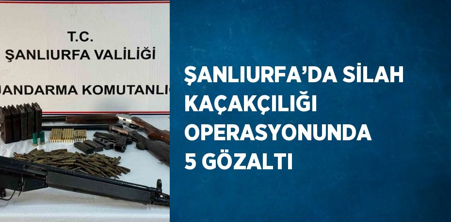 ŞANLIURFA’DA SİLAH KAÇAKÇILIĞI OPERASYONUNDA 5 GÖZALTI