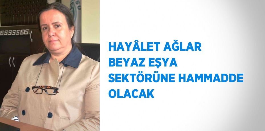 HAYÂLET AĞLAR BEYAZ EŞYA SEKTÖRÜNE HAMMADDE OLACAK