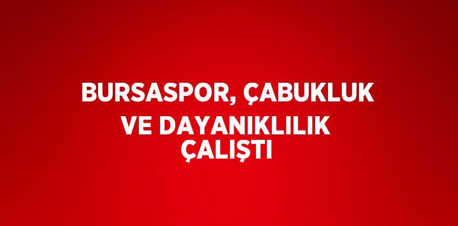 BURSASPOR, ÇABUKLUK VE DAYANIKLILIK ÇALIŞTI