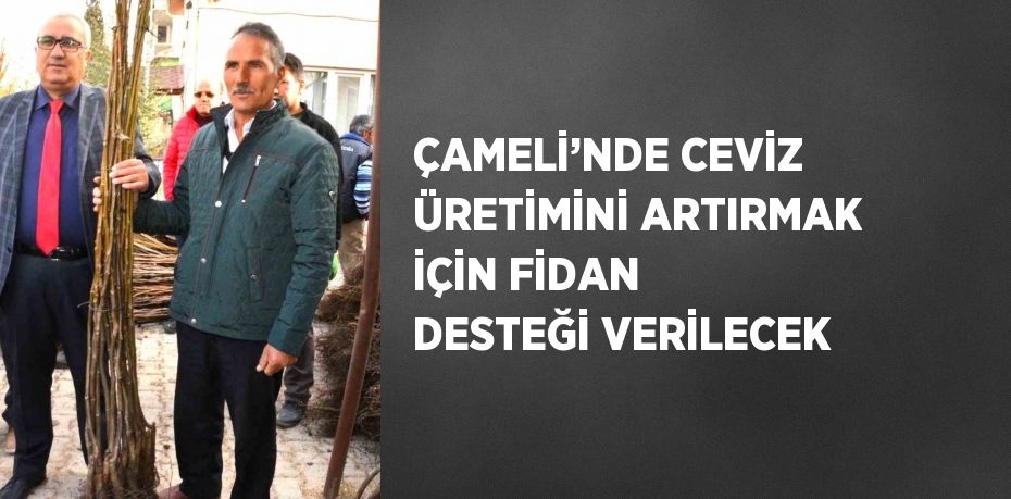 ÇAMELİ’NDE CEVİZ ÜRETİMİNİ ARTIRMAK İÇİN FİDAN DESTEĞİ VERİLECEK