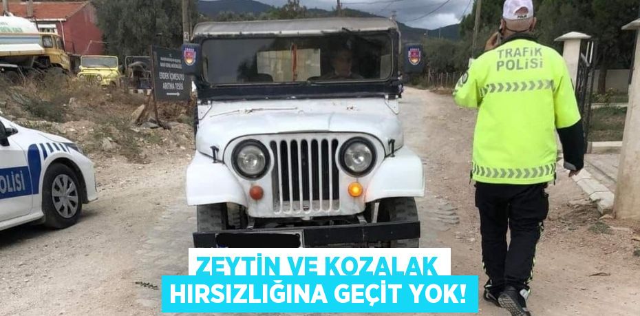 ZEYTİN VE KOZALAK HIRSIZLIĞINA GEÇİT YOK!