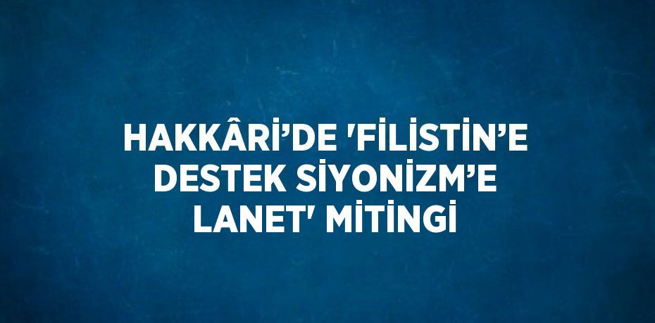 HAKKÂRİ’DE 'FİLİSTİN’E DESTEK SİYONİZM’E LANET' MİTİNGİ