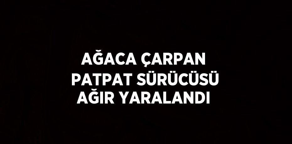 AĞACA ÇARPAN PATPAT SÜRÜCÜSÜ AĞIR YARALANDI