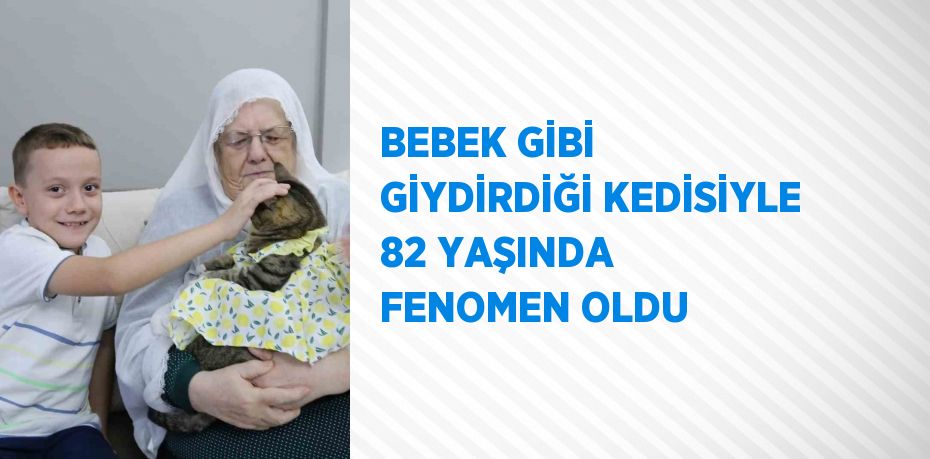 BEBEK GİBİ GİYDİRDİĞİ KEDİSİYLE 82 YAŞINDA FENOMEN OLDU