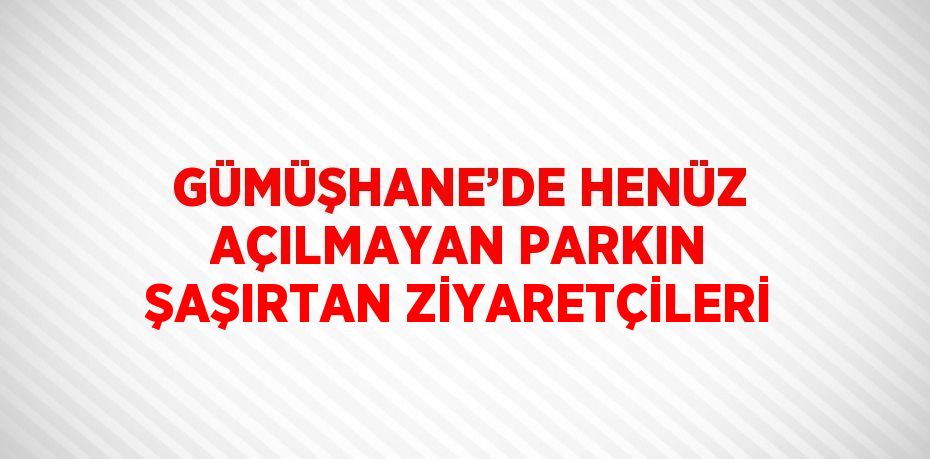 GÜMÜŞHANE’DE HENÜZ AÇILMAYAN PARKIN ŞAŞIRTAN ZİYARETÇİLERİ