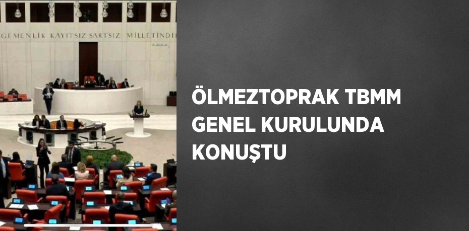 ÖLMEZTOPRAK TBMM GENEL KURULUNDA KONUŞTU