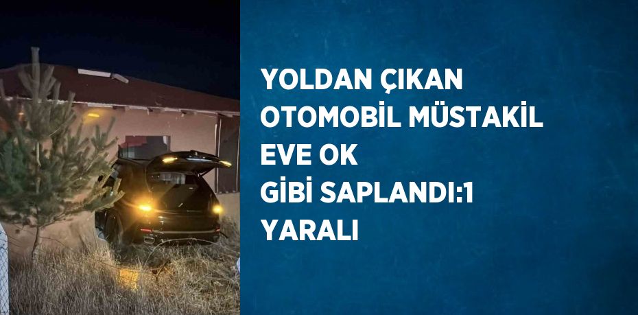 YOLDAN ÇIKAN OTOMOBİL MÜSTAKİL EVE OK GİBİ SAPLANDI:1 YARALI