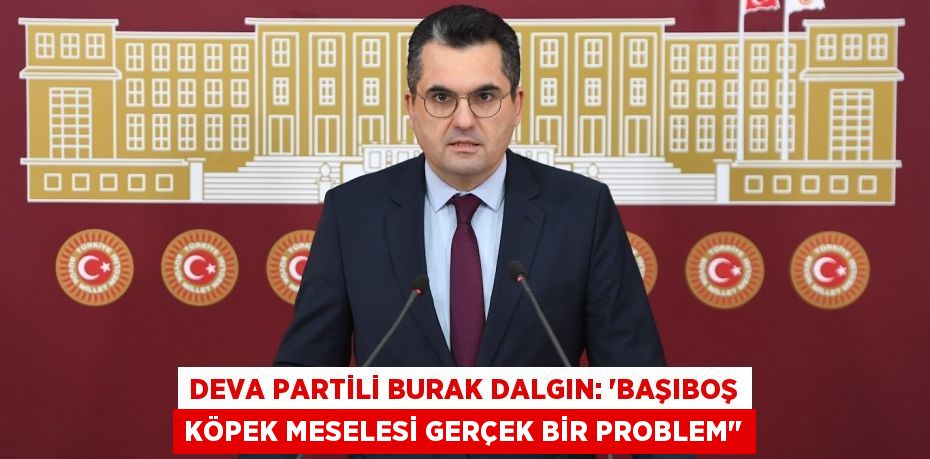 DEVA PARTİLİ BURAK DALGIN: “Başıboş köpek meselesi gerçek bir problem&quot;