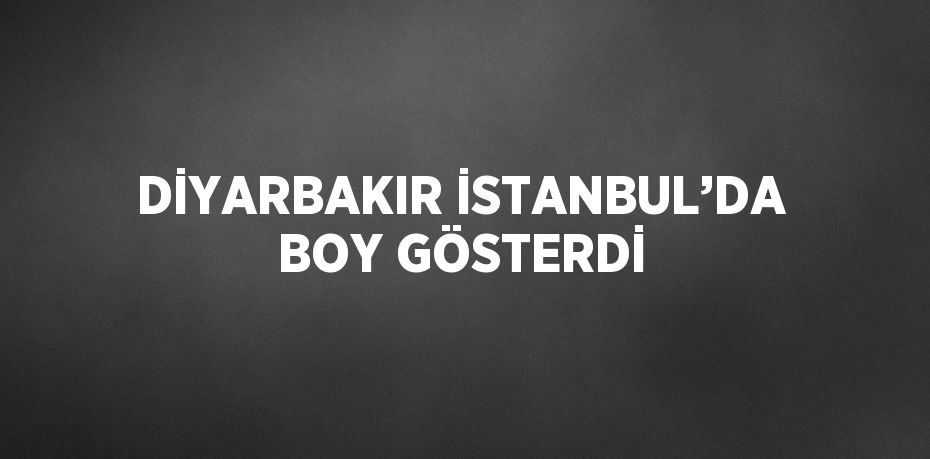 DİYARBAKIR İSTANBUL’DA BOY GÖSTERDİ