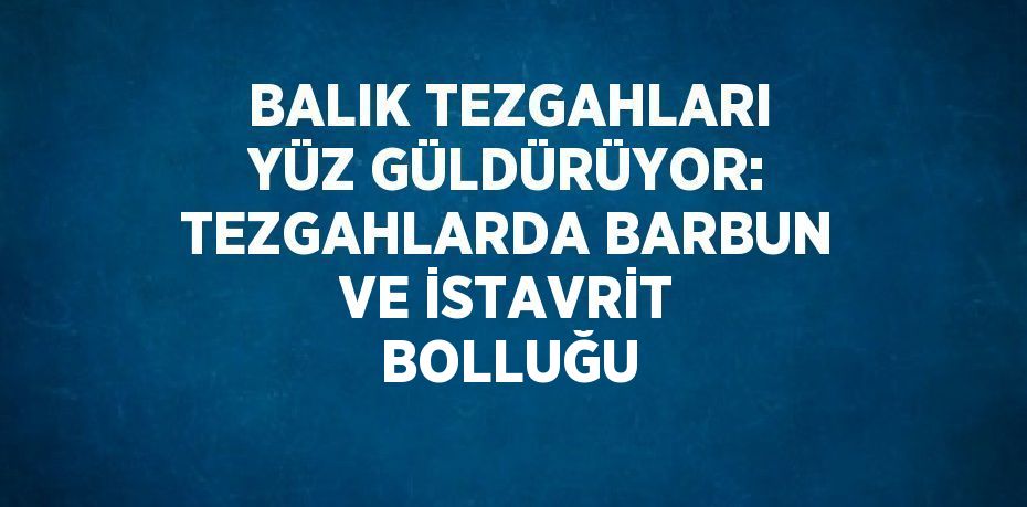 BALIK TEZGAHLARI YÜZ GÜLDÜRÜYOR: TEZGAHLARDA BARBUN VE İSTAVRİT BOLLUĞU