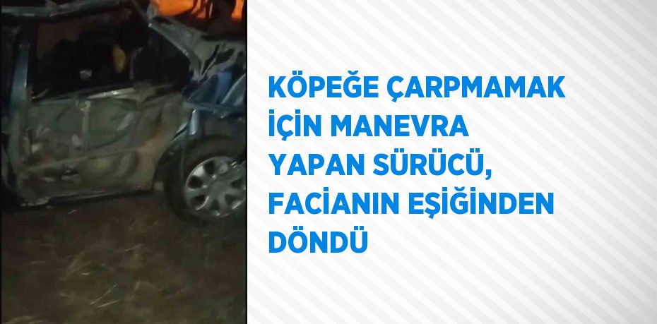 KÖPEĞE ÇARPMAMAK İÇİN MANEVRA YAPAN SÜRÜCÜ, FACİANIN EŞİĞİNDEN DÖNDÜ