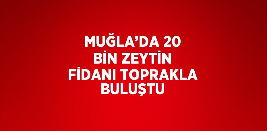 MUĞLA’DA 20 BİN ZEYTİN FİDANI TOPRAKLA BULUŞTU