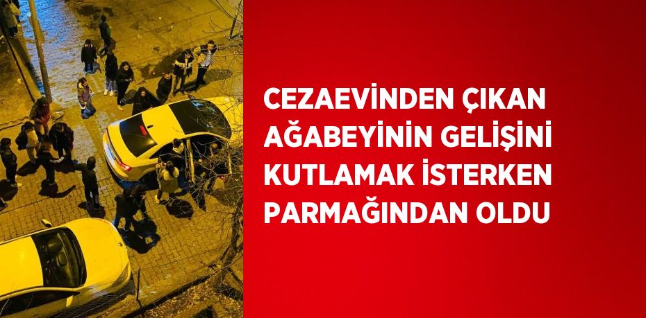 CEZAEVİNDEN ÇIKAN AĞABEYİNİN GELİŞİNİ KUTLAMAK İSTERKEN PARMAĞINDAN OLDU