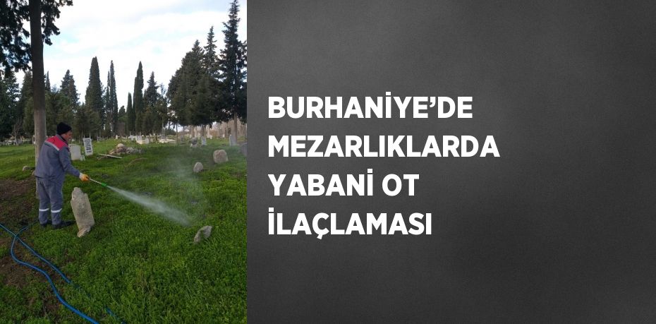 BURHANİYE’DE MEZARLIKLARDA YABANİ OT İLAÇLAMASI