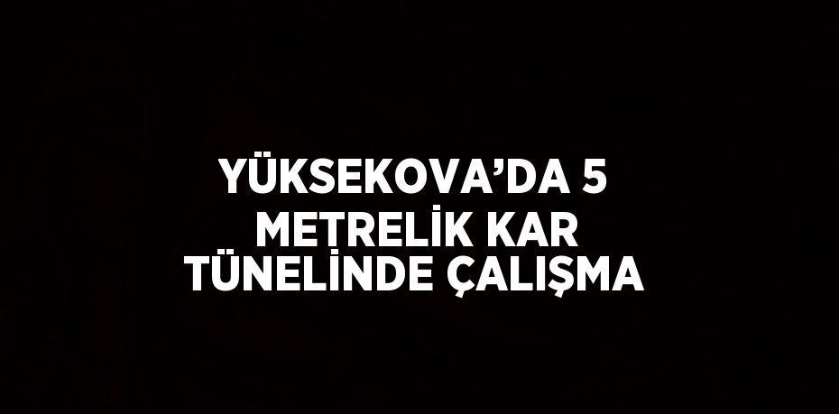 YÜKSEKOVA’DA 5 METRELİK KAR TÜNELİNDE ÇALIŞMA