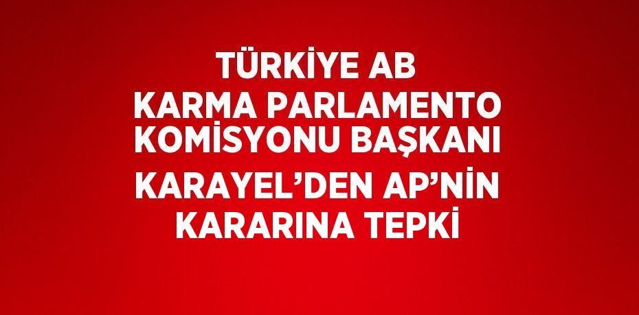 TÜRKİYE AB KARMA PARLAMENTO KOMİSYONU BAŞKANI KARAYEL’DEN AP’NİN KARARINA TEPKİ