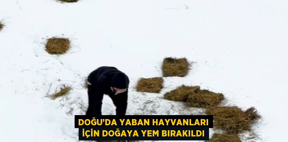 DOĞU’DA YABAN HAYVANLARI İÇİN DOĞAYA YEM BIRAKILDI