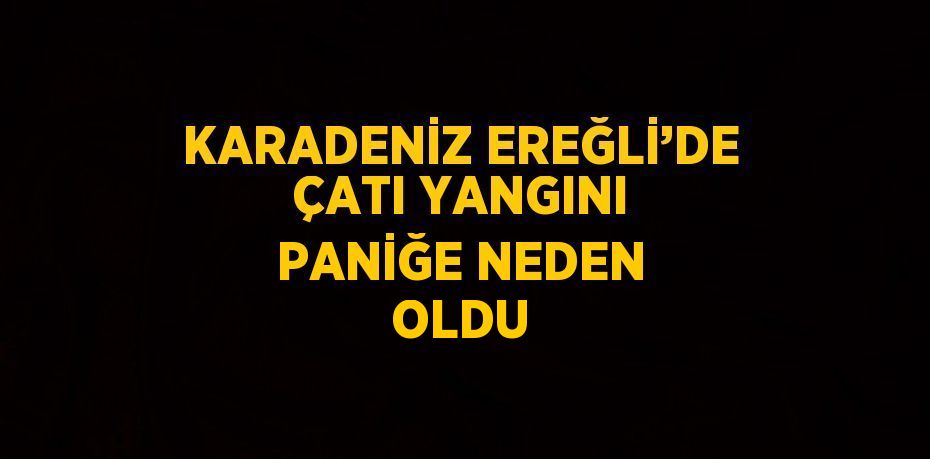 KARADENİZ EREĞLİ’DE ÇATI YANGINI PANİĞE NEDEN OLDU