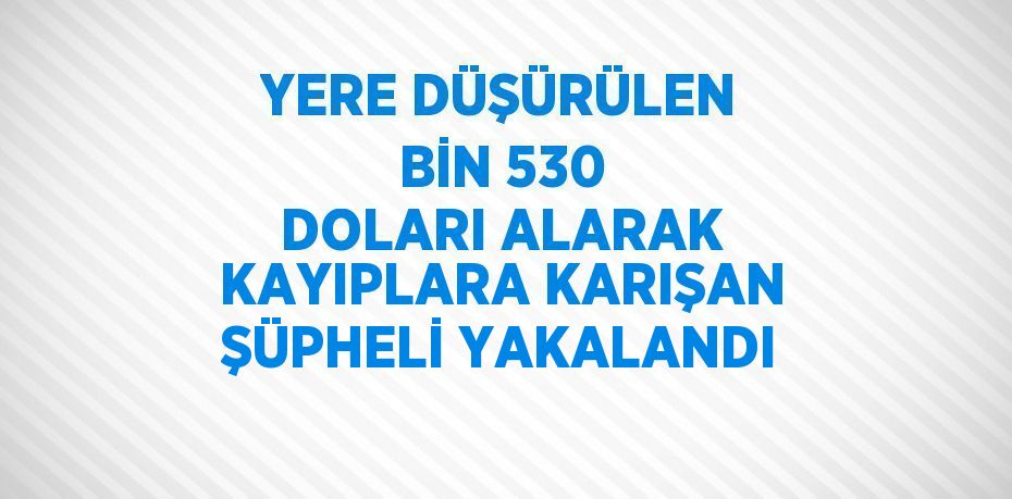 YERE DÜŞÜRÜLEN BİN 530 DOLARI ALARAK KAYIPLARA KARIŞAN ŞÜPHELİ YAKALANDI