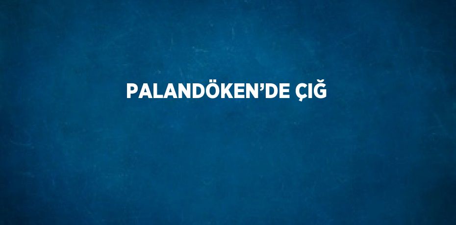 PALANDÖKEN’DE ÇIĞ