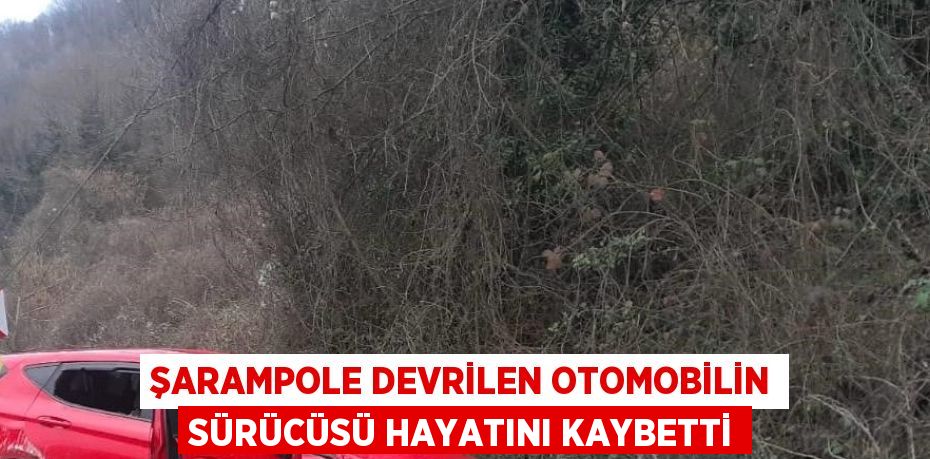 ŞARAMPOLE DEVRİLEN OTOMOBİLİN SÜRÜCÜSÜ HAYATINI KAYBETTİ