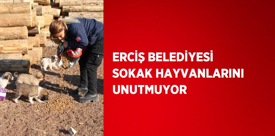 ERCİŞ BELEDİYESİ SOKAK HAYVANLARINI UNUTMUYOR