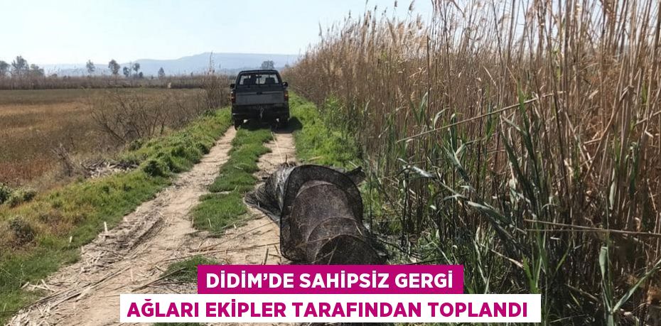 DİDİM’DE SAHİPSİZ GERGİ AĞLARI EKİPLER TARAFINDAN TOPLANDI