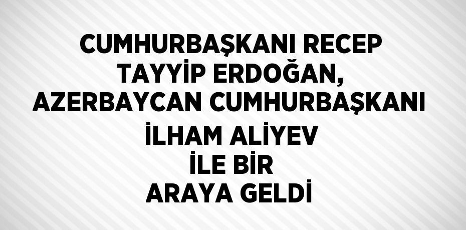 CUMHURBAŞKANI RECEP TAYYİP ERDOĞAN, AZERBAYCAN CUMHURBAŞKANI İLHAM ALİYEV İLE BİR ARAYA GELDİ