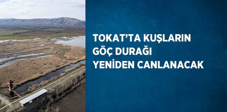 TOKAT’TA KUŞLARIN GÖÇ DURAĞI YENİDEN CANLANACAK