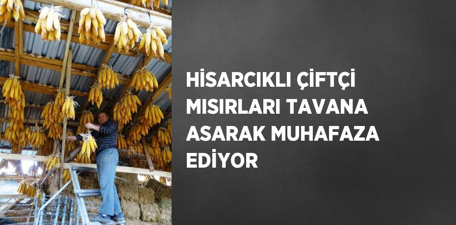 HİSARCIKLI ÇİFTÇİ MISIRLARI TAVANA ASARAK MUHAFAZA EDİYOR