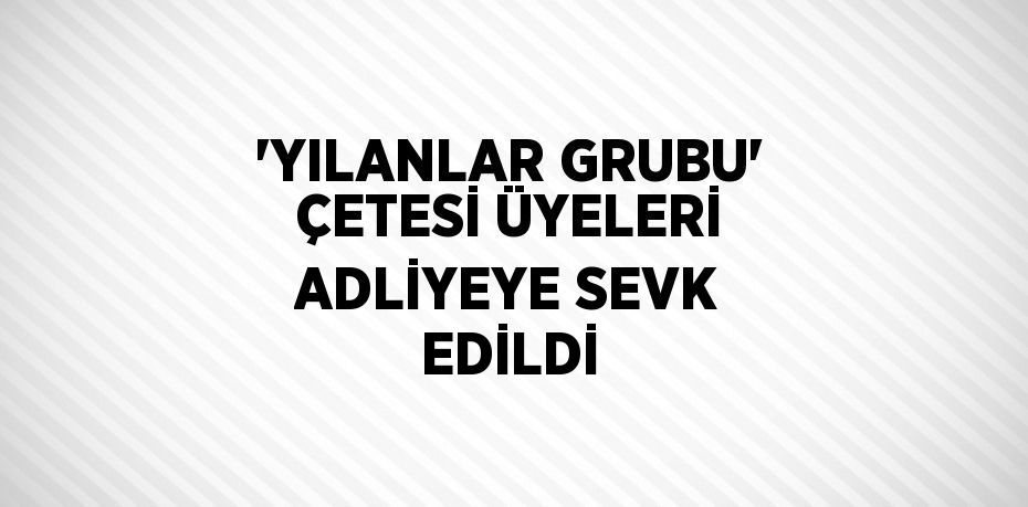 'YILANLAR GRUBU' ÇETESİ ÜYELERİ ADLİYEYE SEVK EDİLDİ