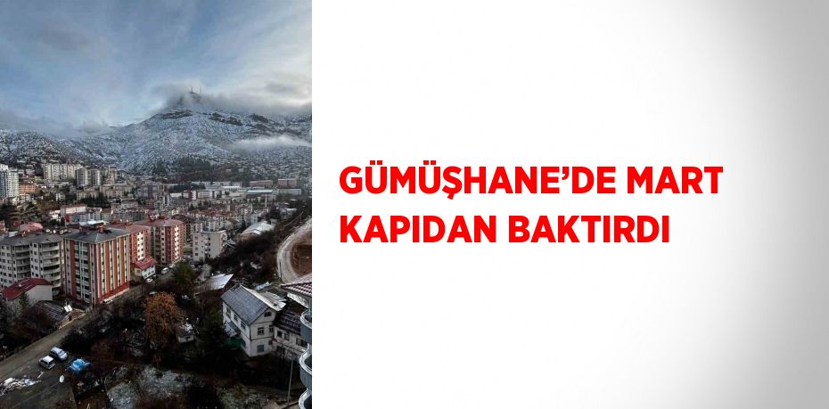 GÜMÜŞHANE’DE MART KAPIDAN BAKTIRDI