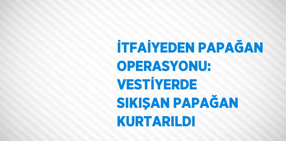 İTFAİYEDEN PAPAĞAN OPERASYONU: VESTİYERDE SIKIŞAN PAPAĞAN KURTARILDI