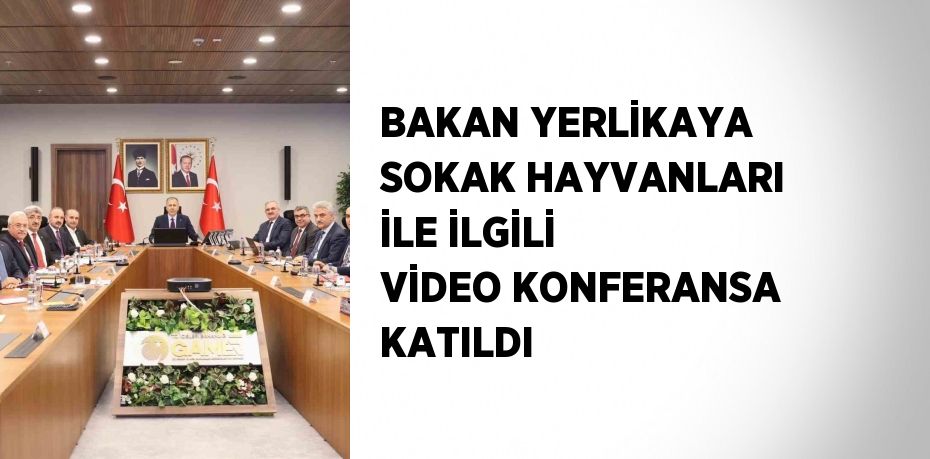 BAKAN YERLİKAYA SOKAK HAYVANLARI İLE İLGİLİ VİDEO KONFERANSA KATILDI