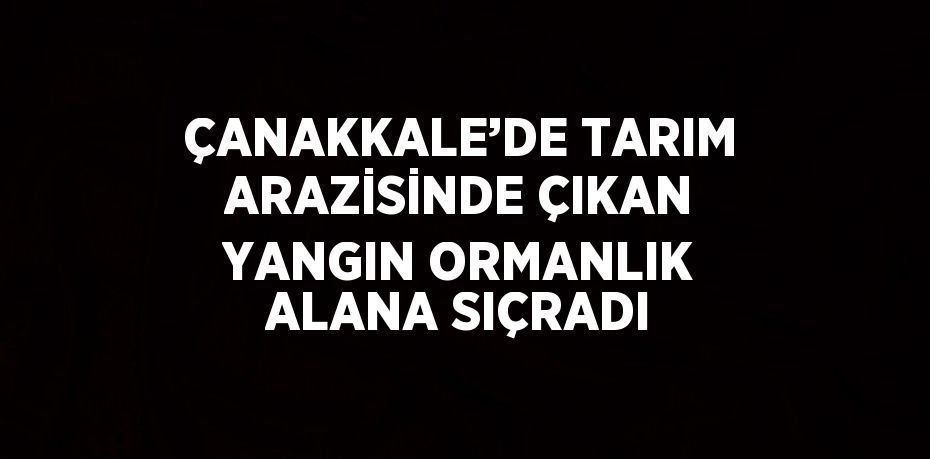 ÇANAKKALE’DE TARIM ARAZİSİNDE ÇIKAN YANGIN ORMANLIK ALANA SIÇRADI