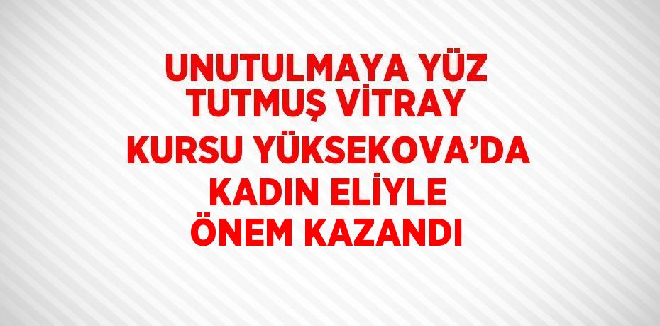 UNUTULMAYA YÜZ TUTMUŞ VİTRAY KURSU YÜKSEKOVA’DA KADIN ELİYLE ÖNEM KAZANDI