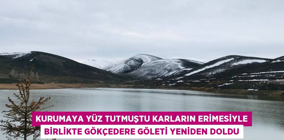 Kurumaya yüz tutmuştu karların erimesiyle birlikte Gökçedere Göleti yeniden doldu