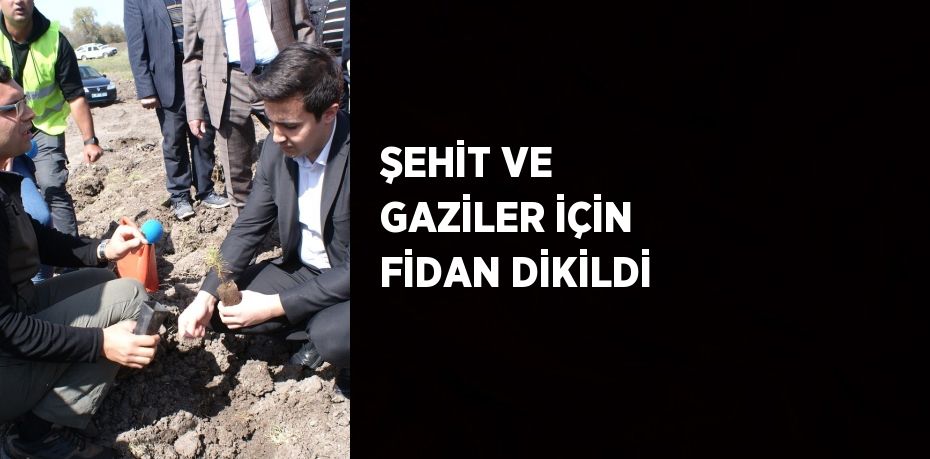 ŞEHİT VE GAZİLER İÇİN FİDAN DİKİLDİ