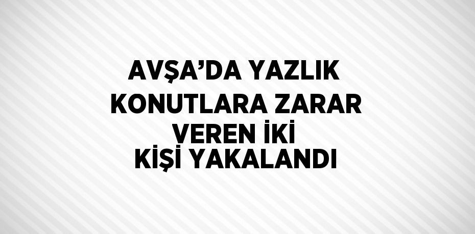 AVŞA’DA YAZLIK KONUTLARA ZARAR VEREN İKİ KİŞİ YAKALANDI