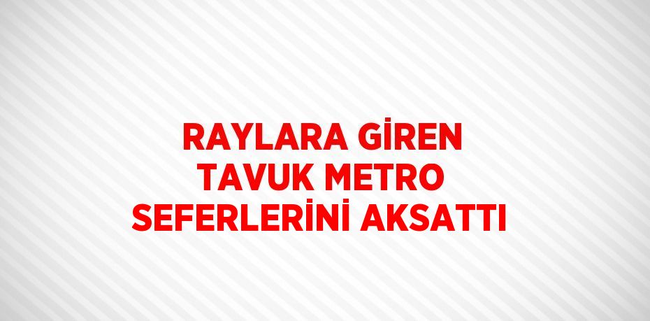 RAYLARA GİREN TAVUK METRO SEFERLERİNİ AKSATTI