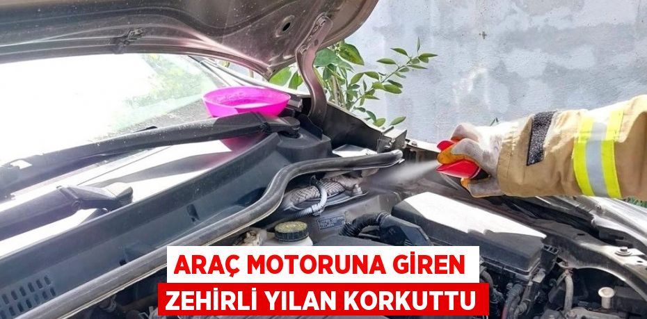 ARAÇ MOTORUNA GİREN ZEHİRLİ YILAN KORKUTTU