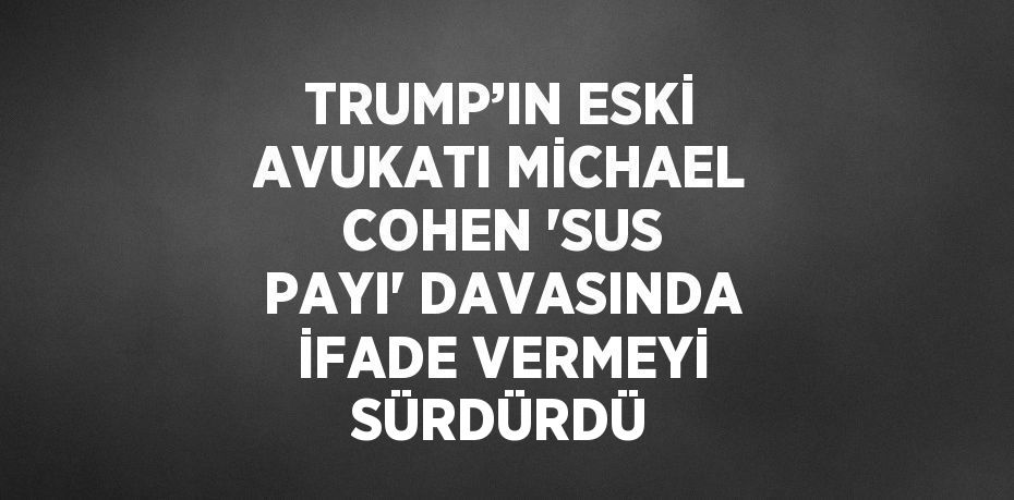 TRUMP’IN ESKİ AVUKATI MİCHAEL COHEN 'SUS PAYI' DAVASINDA İFADE VERMEYİ SÜRDÜRDÜ