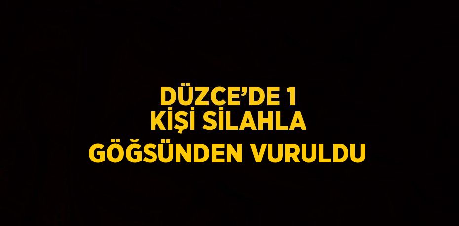 DÜZCE’DE 1 KİŞİ SİLAHLA GÖĞSÜNDEN VURULDU