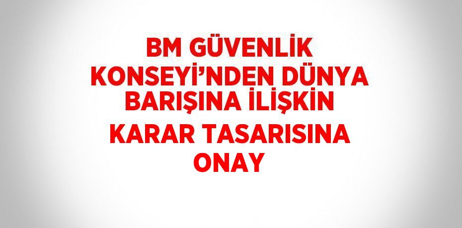 BM GÜVENLİK KONSEYİ’NDEN DÜNYA BARIŞINA İLİŞKİN KARAR TASARISINA ONAY