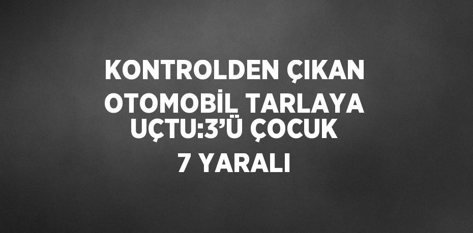 KONTROLDEN ÇIKAN OTOMOBİL TARLAYA UÇTU:3’Ü ÇOCUK 7 YARALI